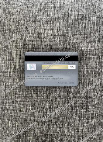 Sweden Citibank visa platinum card photolook back